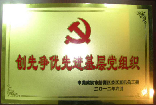 武汉市新洲区创先争优先进基层党组织